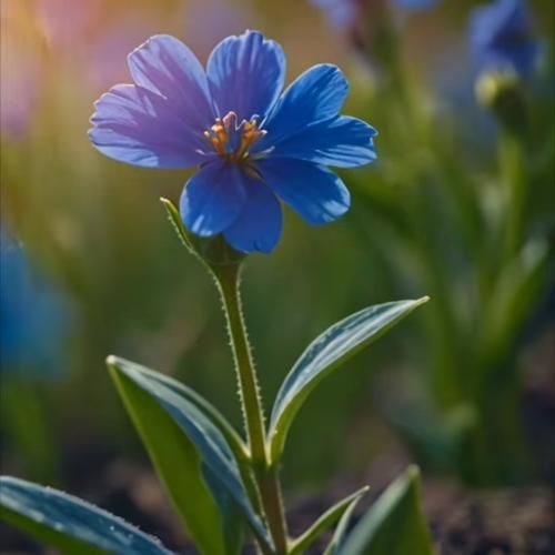 دختری که بوس میده دشمنی که دوست بوده