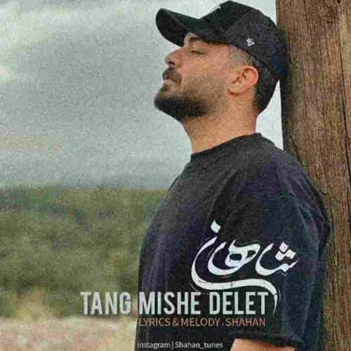 دانلود آهنگ تنگ میشه دلت با صدای شاهان