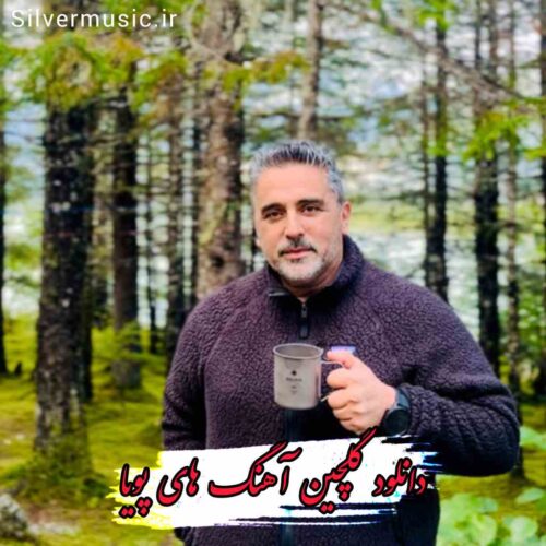 دانلود گلچین آهنگ ها و ریمیکس های پویا