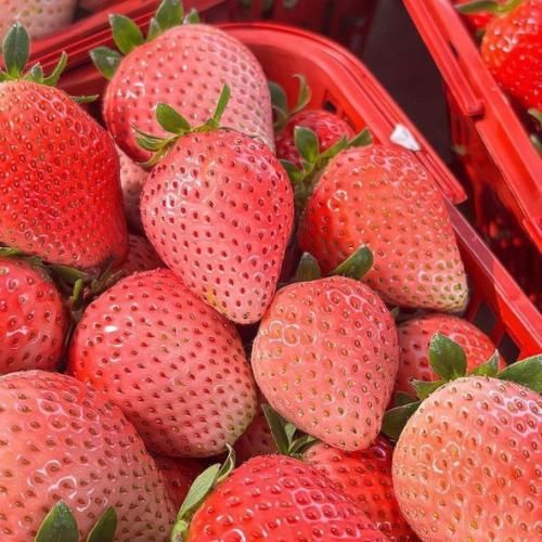 هیچی نبودی من تورو ساختم نگو دختری بودم