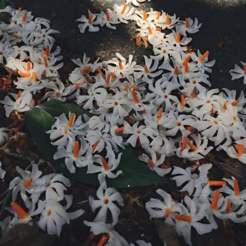 انگاری من زیادی ام دیگه واسه تو عادی ام با صدای دختر