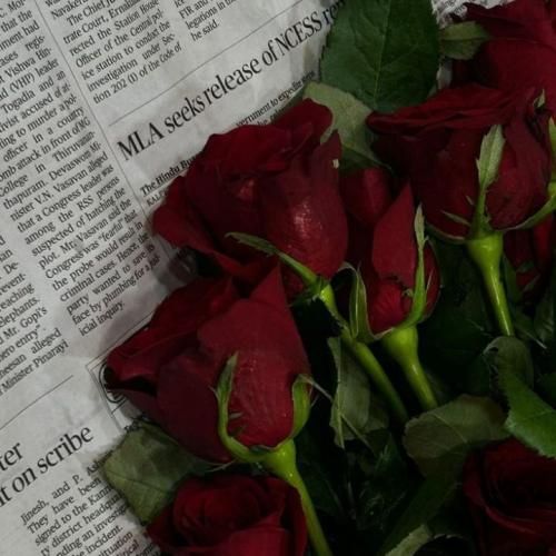  We Are Still Here با صدای زن هوش مصنوعی